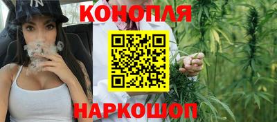 сатива Можга
