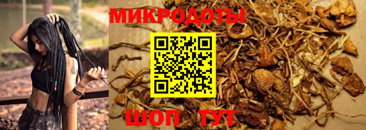 закладка  Вход с VPN  Улан-Удэ  Галлюциногенные грибы мицелий 