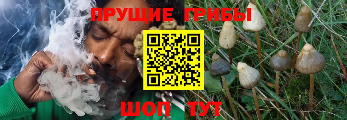 Каннабис  Вход с VPN  Меф МЯУ МЯУ кристаллы  МДМА  Экстази  ГАШИШ  Кокаин  Улан-Удэ  Амфетамин кристаллы 