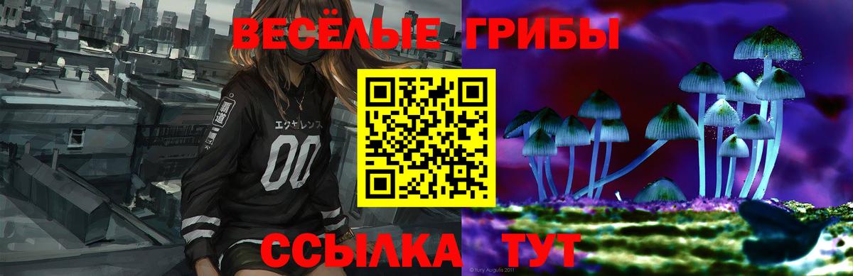 Галлюциногенные грибы Psilocybine cubensis Улан-Удэ